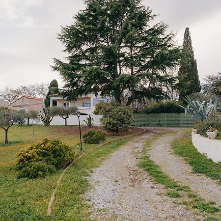 Les Gites De Ginestas المظهر الخارجي الصورة